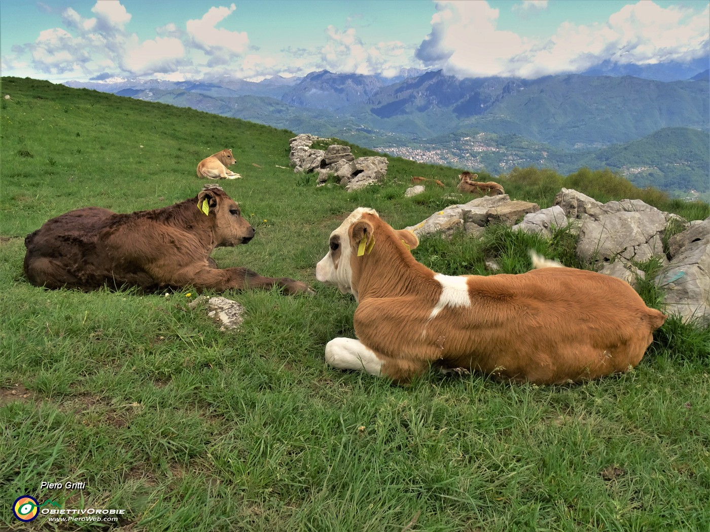 65 In siesta meridiana.JPG